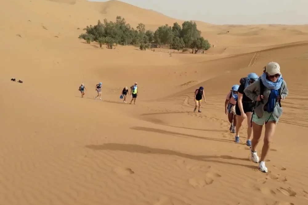 Merzouga Wild Bivouac 10H, Camel Trek & Guide + Campfire + Meals + 4x4 Support in Marrakech, Morocco