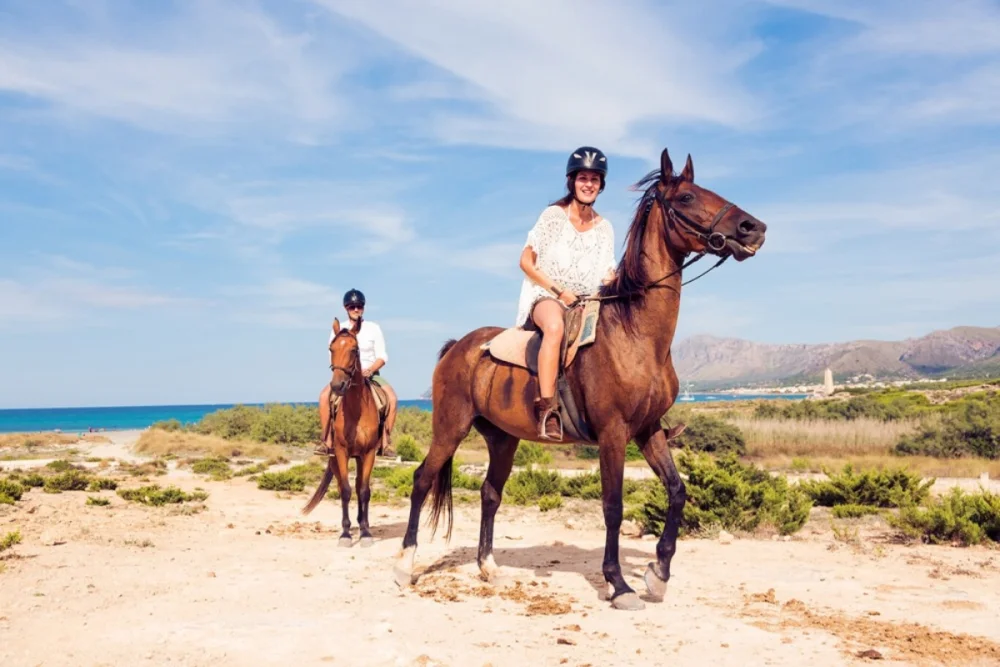 Oued Souss Takkat Horse Ride 2 Hours in Agadir, Morocco