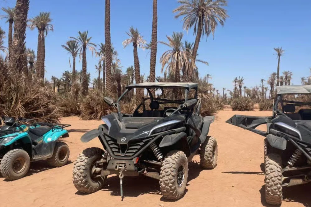 Marrakech Palmeraie Buggy Tour 2-Seater 1H/2H or 4-Seater 1H in Marrakech, Morocco